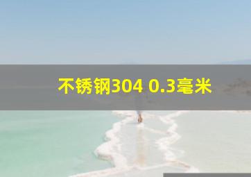 不锈钢304 0.3毫米